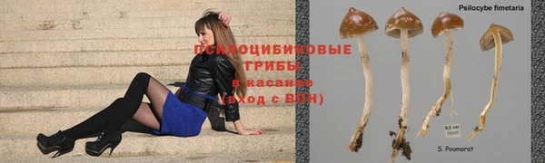 винт Бронницы